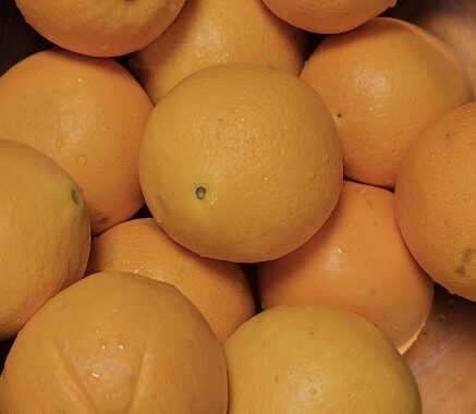 Photo of oranges