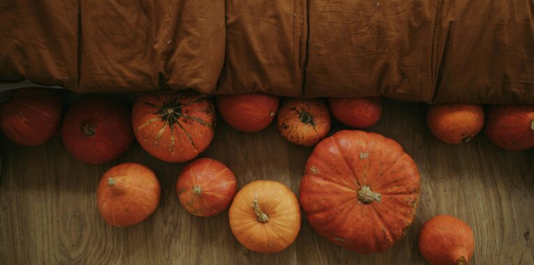 Image of pumpkins of various sizes and colors on a wood floor.