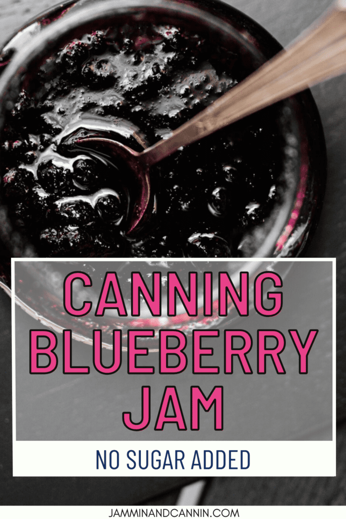 Image of jar with dark filling. Lettering says "Canning Blueberry Jam, No Sugar Added, JamminandCannin.com".