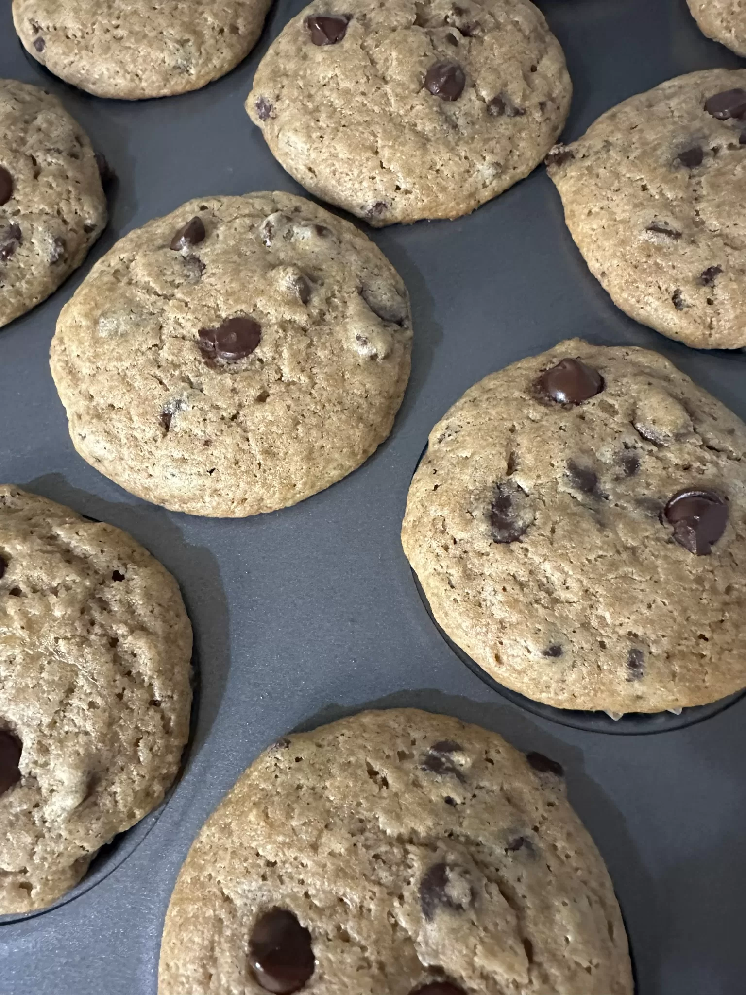 Image of chocolate chip muffins in muffin tin.