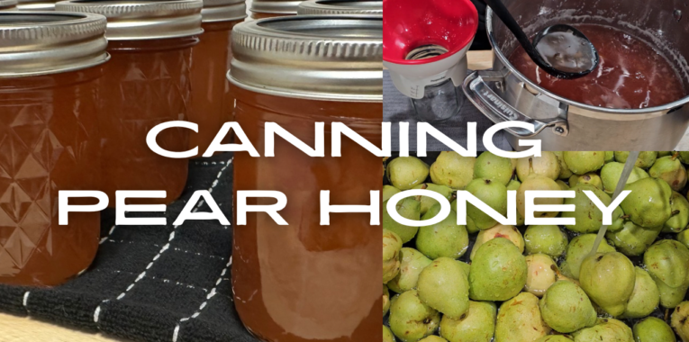 Image containing three smaller images. One is of jars with a brown, honey-like filling. One of a pot with the same honey-like filling. And a final picture with green pears. The text reads, "Canning Pear Honey."