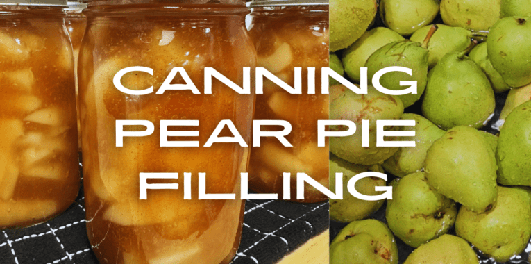 Image of pears in jars and fresh-picked green pears. Text says, "Canning Pear Pie Filling."