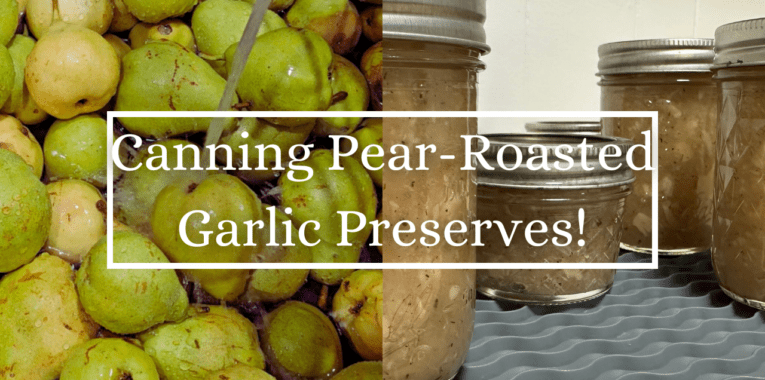 Canning Pear-Roasted Garlic Preserves