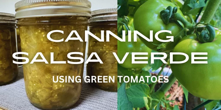 Canning Salsa Verde Using Green Tomatoes