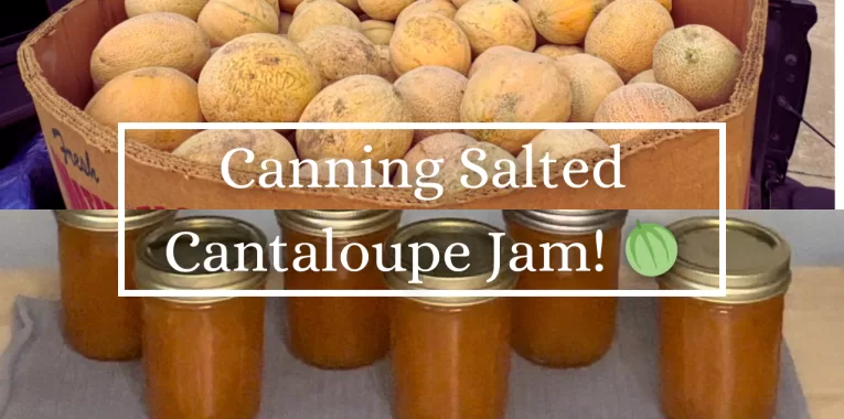 Canning Salted Cantaloupe Jam