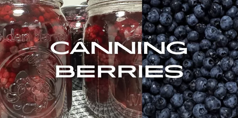 Canning Whole Berries